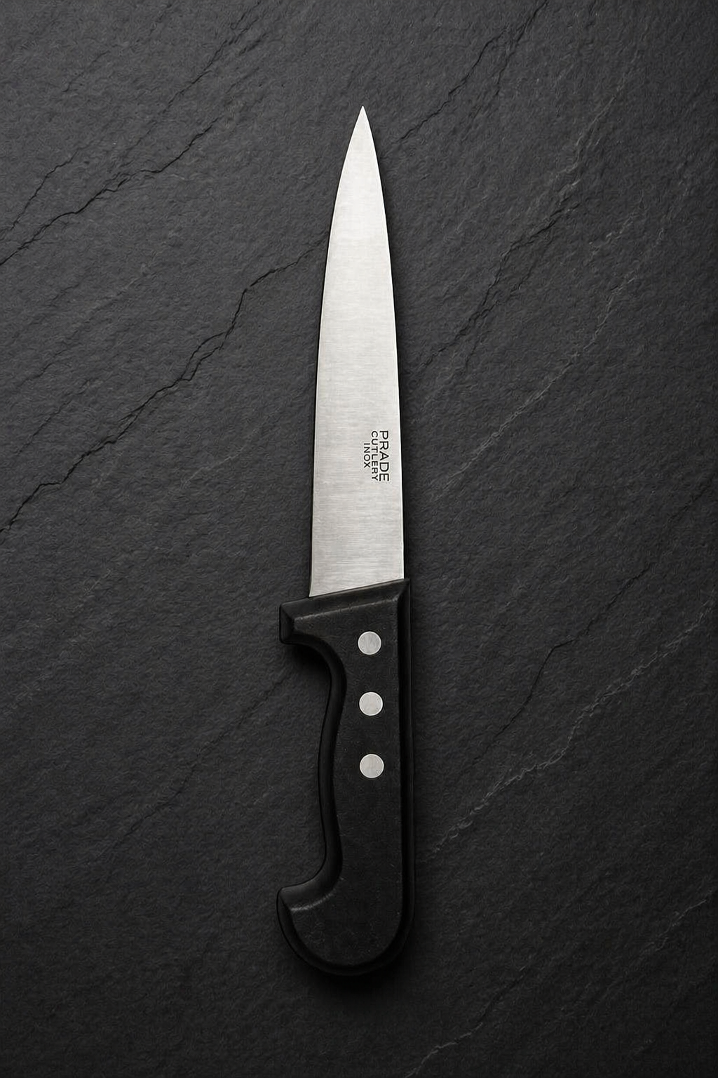 Couteau de Cuisine Pradel Inox Professionnel
