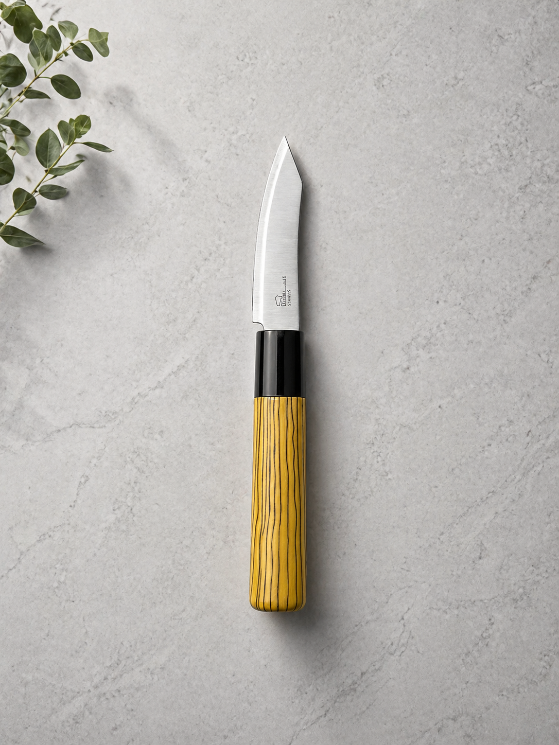 Couteau d’Office Compact – Lame Inox & Design Élégant