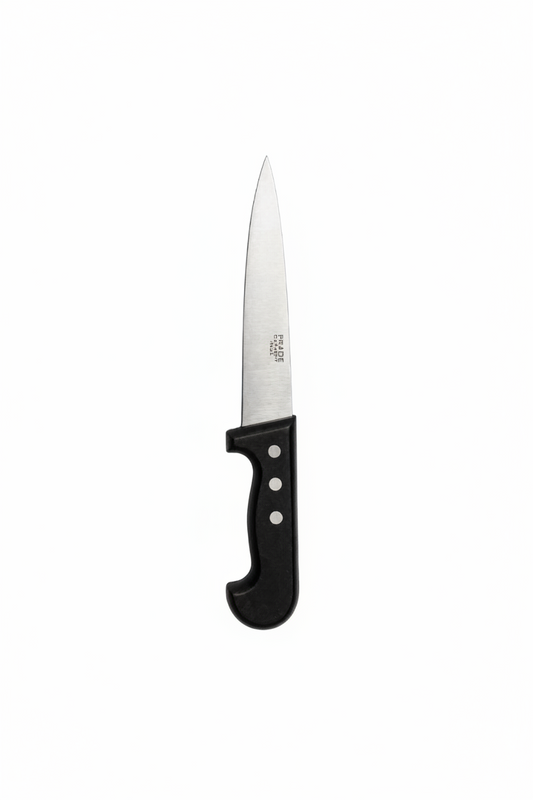 Couteau de Cuisine Pradel Inox Professionnel