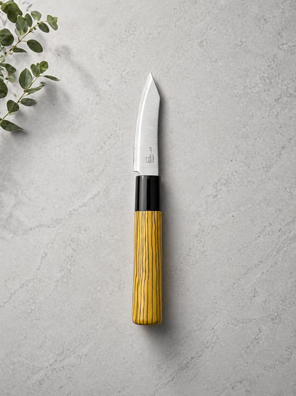 Couteau d’Office Compact – Lame Inox & Design Élégant