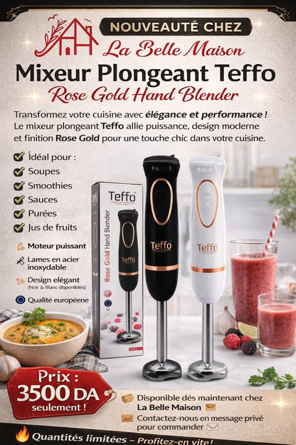 Bras Mixeur plongeant Teffo - 2 vitesses 200 watts